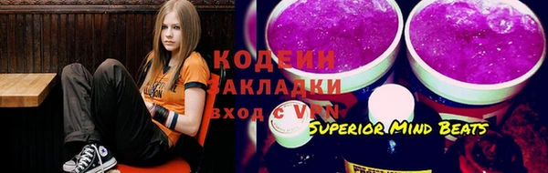 сатива Беломорск