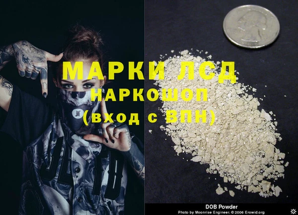 сатива Беломорск