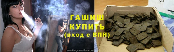 сатива Беломорск