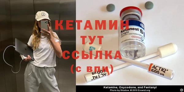 сатива Беломорск