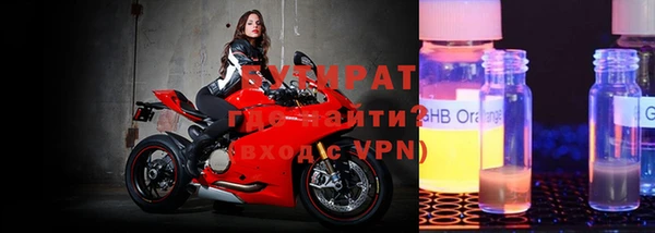 сатива Беломорск