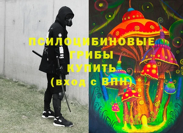 кокаин Белокуриха