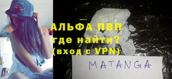 сатива Беломорск