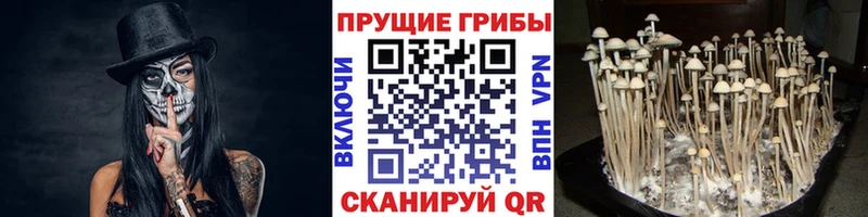 Галлюциногенные грибы GOLDEN TEACHER  наркошоп  маркетплейс Telegram  Болохово 
