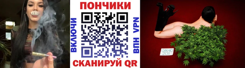 Бошки Шишки планчик Болохово